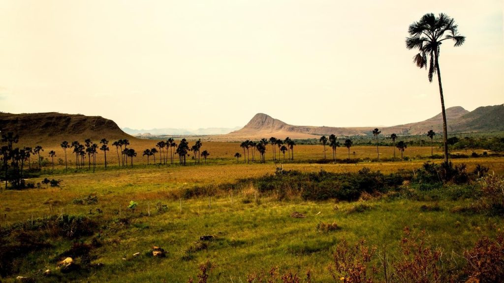 Maravillas de la Chapada dos Veadeiros, Foto: Canva Pro.