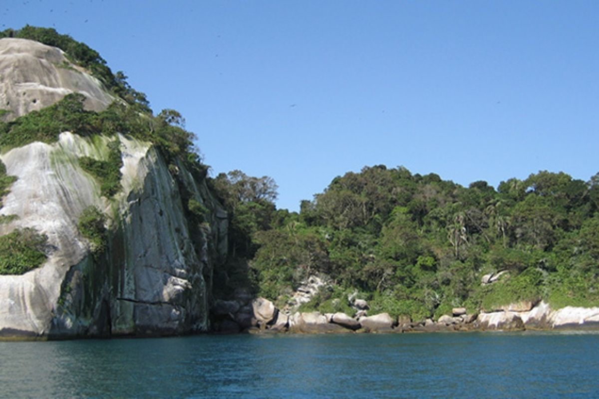 Ilha para amantes da pesca e mergulho do Rio de Janeiro: conheça a Ilha de Jorge Grego.