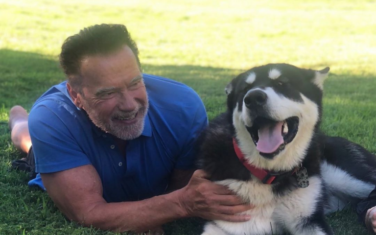 Arnold Schwarzenegger - Imagem Reprodução Instagram