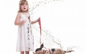 cpf restrito spc e serasa