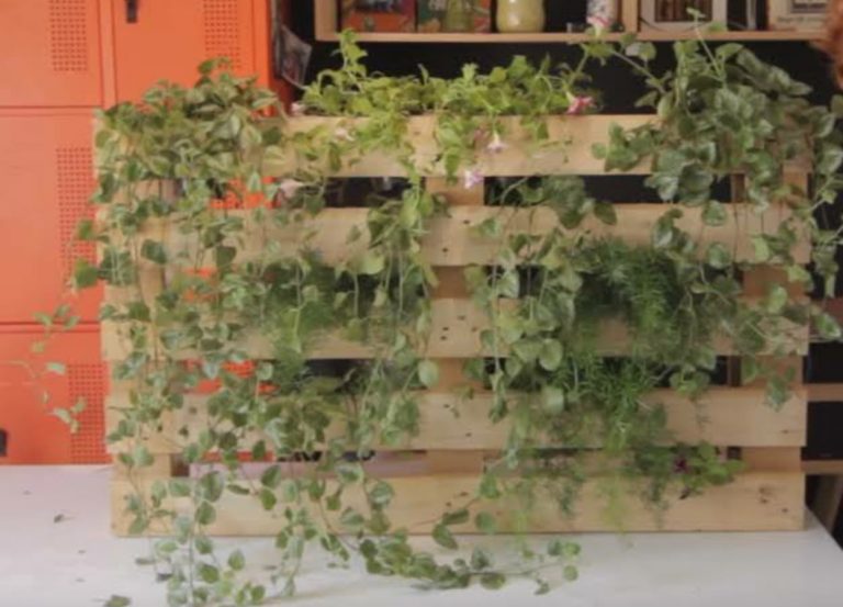 O jardim vertical de pallet é uma ótima opção para quem não tem espaço