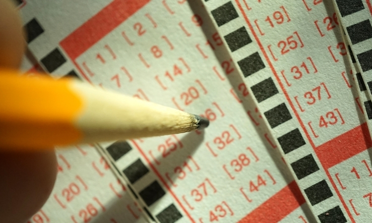 Loteria Federal, são diversas as chances de ganhar /Créditos: Folha Go!