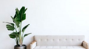 plantas para apartamentos