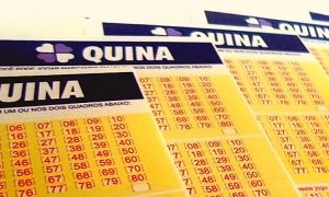 Sorteio da Quina estima prêmio de 700 mil reais/Créditos: Folha Go!