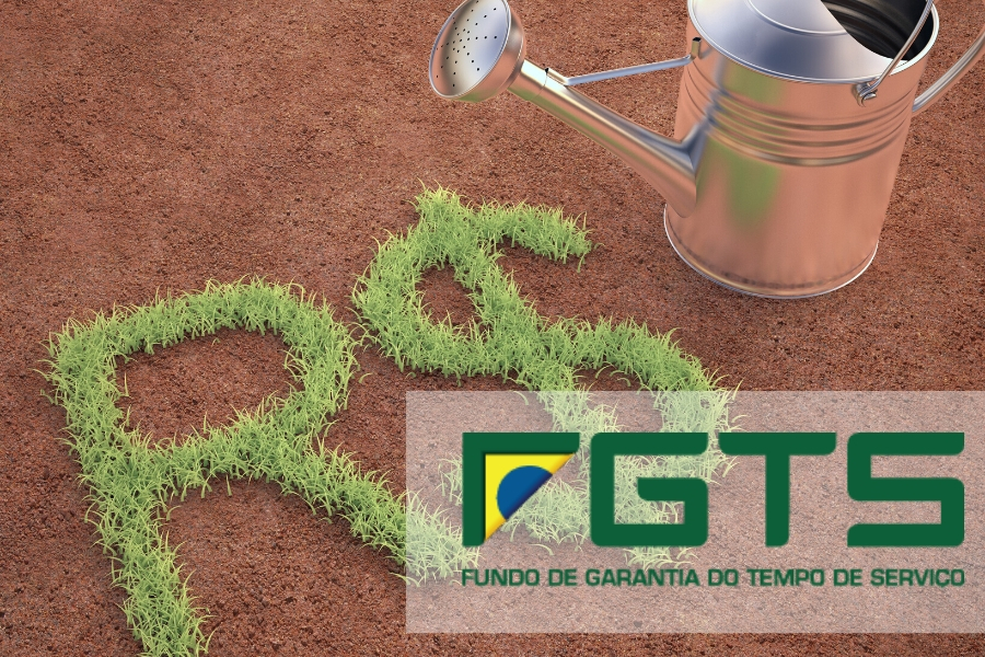 FGTS: aprenda como checar o seu Fundo de Garantia