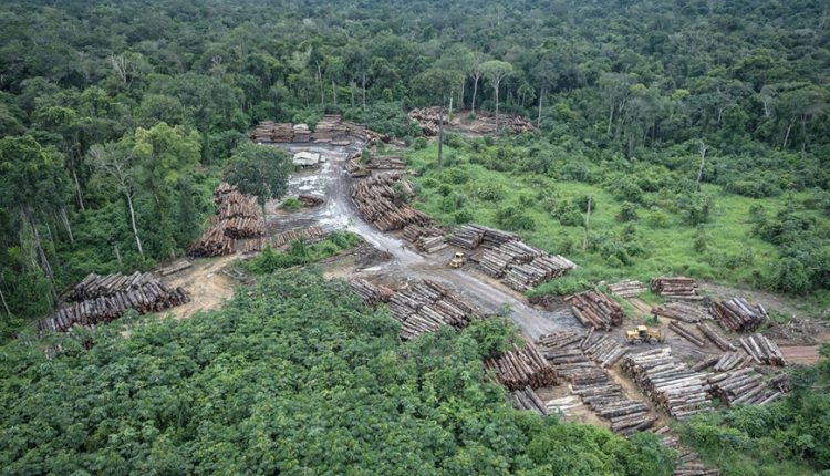 Doação de 25 milhões de euro por Banco Alemão financiará agronegócio sustentável na Amazônia Legal. Imagem: Reprodução EBC Doação de 25 milhões de euro por Banco Alemão financiará agronegócio sustentável na Amazônia Legal. Imagem: Reprodução EBC