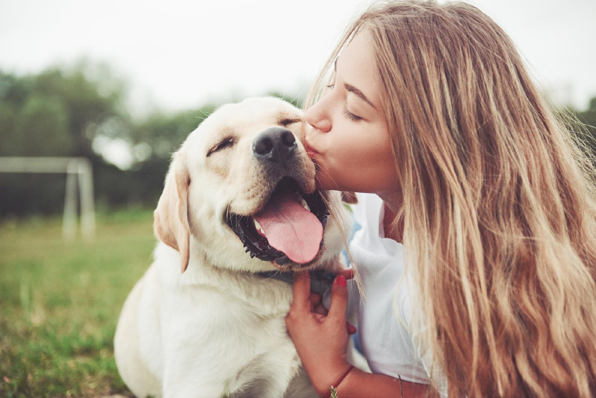 Cuidados com cachorro: aprenda como cuidar de seu animal de estimação