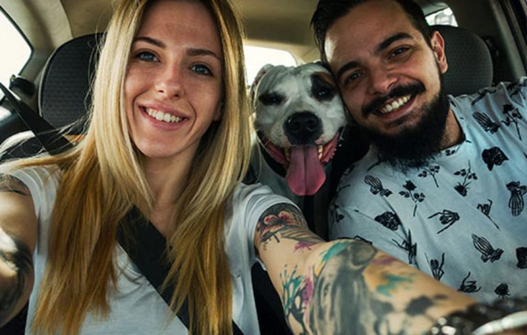 Seguro Pet Itaú: como funciona? Meu animal ficará protegido?