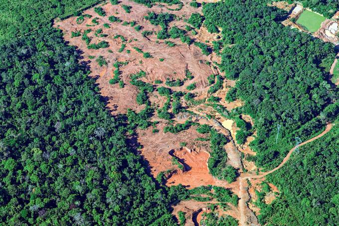 Doação de 25 milhões de euro por Banco Alemão financiará agronegócio sustentável na Amazônia Legal. Imagem: Reprodução EBC Doação de 25 milhões de euro por Banco Alemão financiará agronegócio sustentável na Amazônia Legal. Imagem: Reprodução EBC
