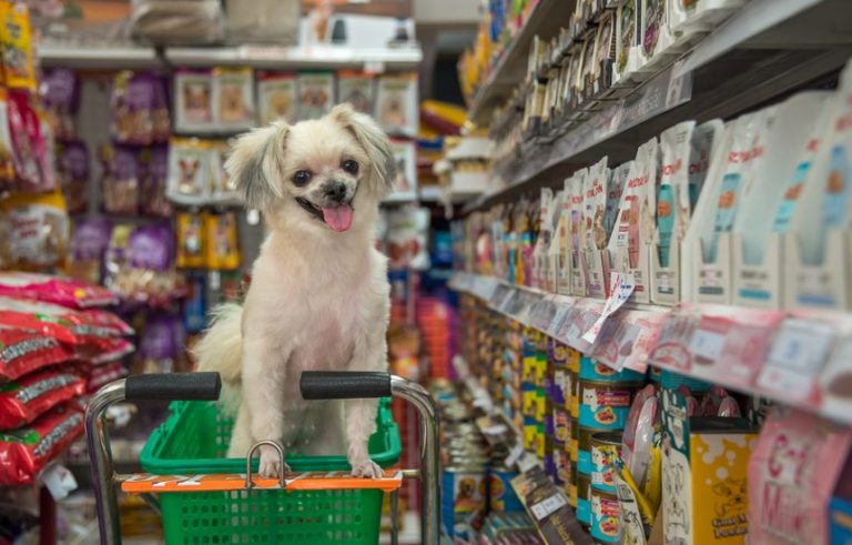 Pet Shop: conheça produtos e serviços oferecidos para os animais de ...