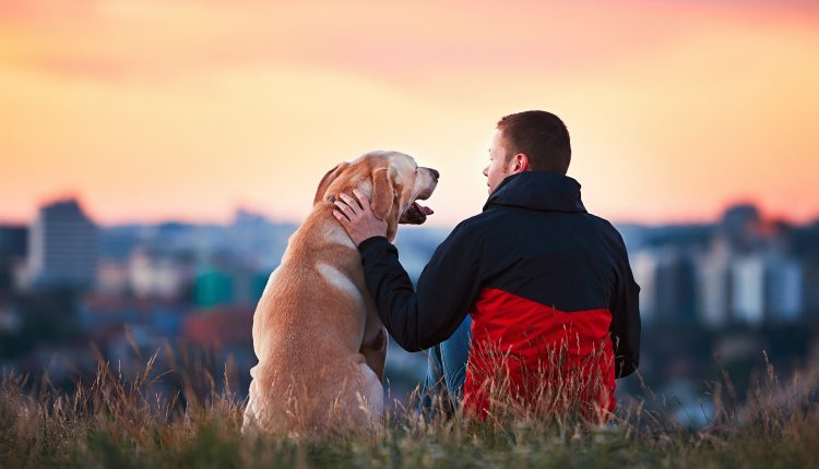 Veja 7 coisas que seu cão de estimação te ensina todos os dias