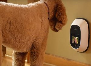 equipamento-permite-ligação-com-pet