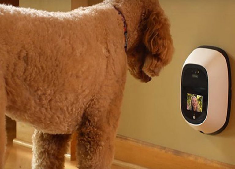 equipamento-permite-ligação-com-pet