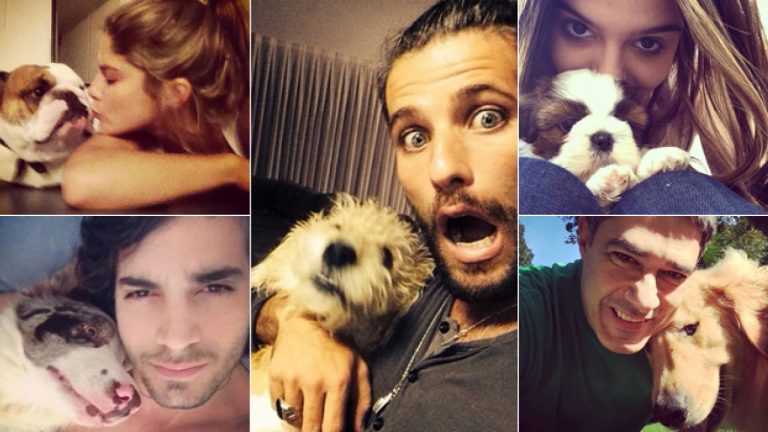 Animais adotados por famosos