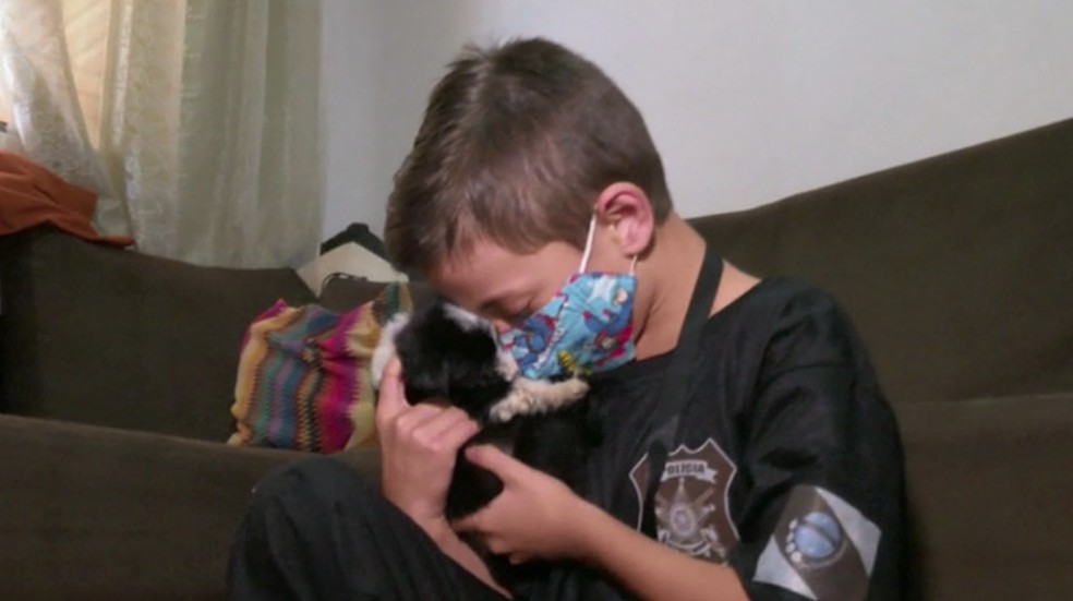 Guardião dos animais: conheça essa história incrível do menino que abriga cachorros de rua