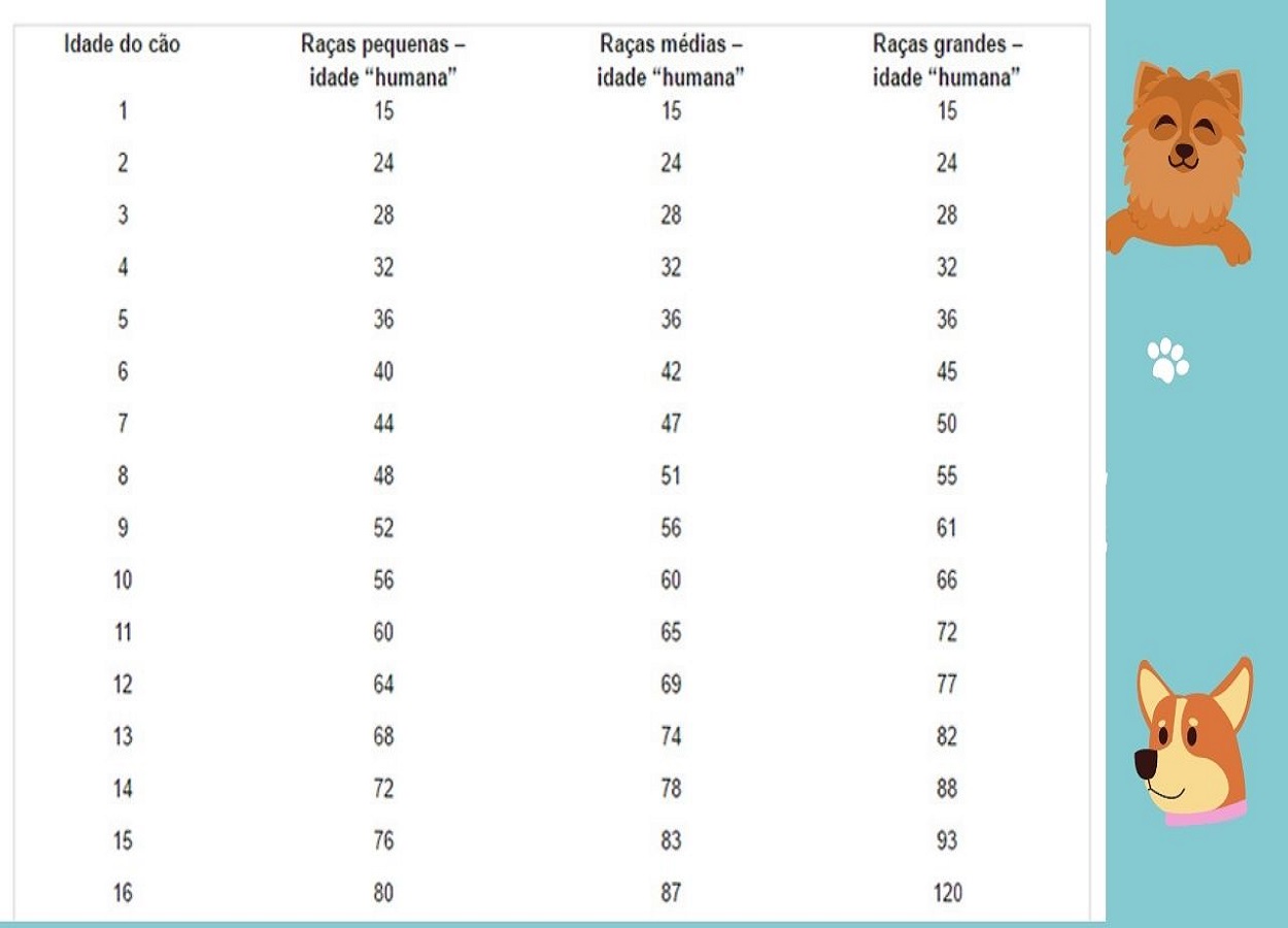 Como calcular a idade de cachorro em relação à humana?