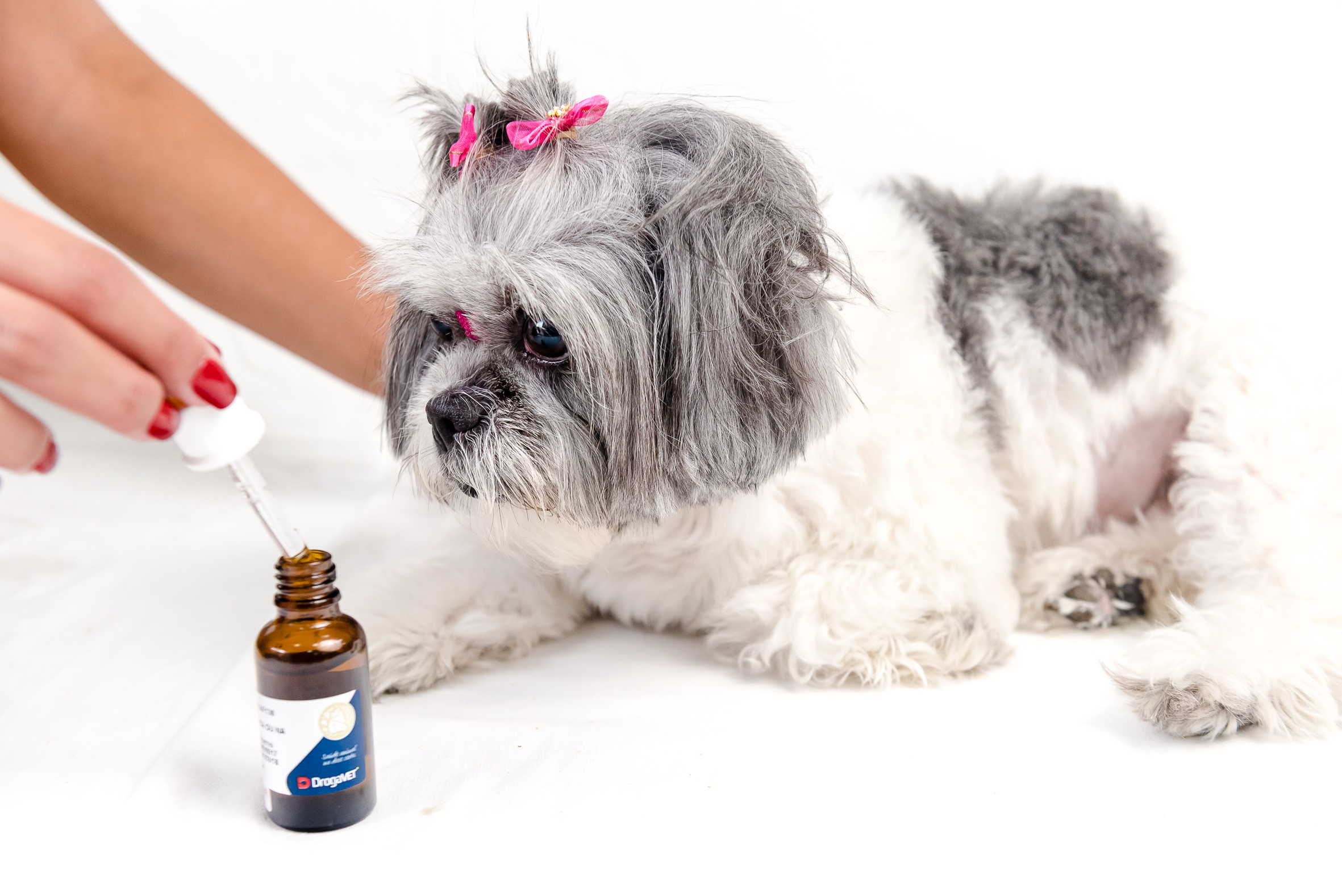 Medicamentos para pets