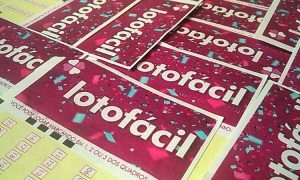 Sorteio da Lotofácil de hoje (25/11) estima prêmio de 1,5 milhão de reais/ Créditos: Folha Go