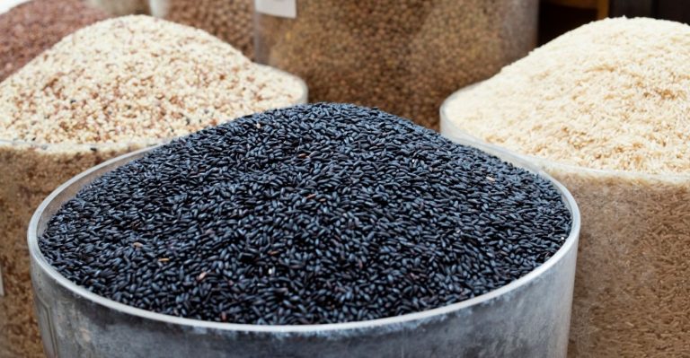 Mato Grosso: aprovado empréstimo de R$ 440 mi para agricultura familiar. Foto: Divulgação