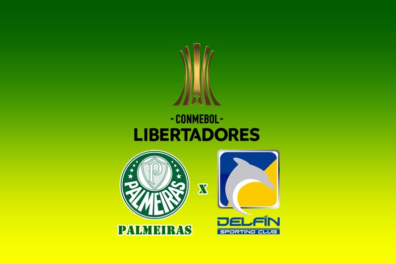 Jogo do Palmeiras x Delfín na internet e Tv pela Copa ...