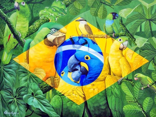 aves brasileiras