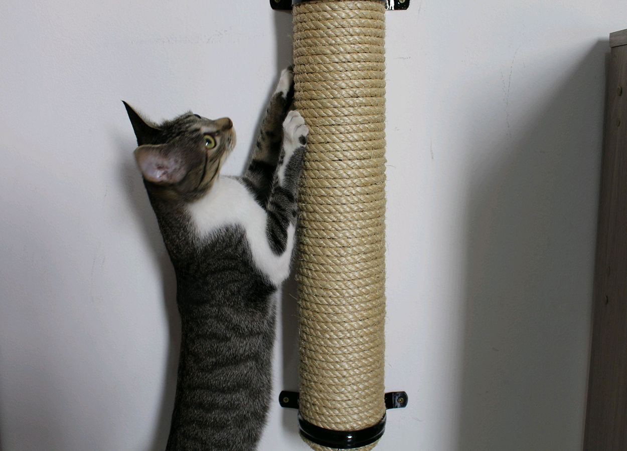 brinquedos para gato brinquedos para gato