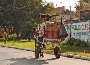 Câmara de BH aprova fim das carroças puxadas por animais