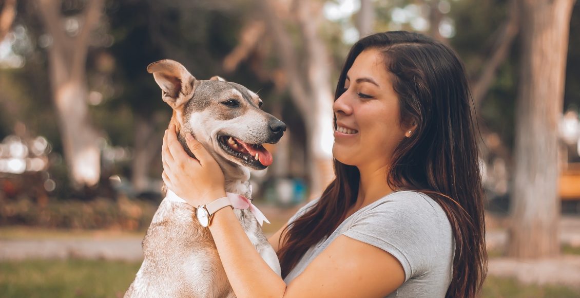 Controle financeiro dos gastos com o pet: aprenda cuidar economizando