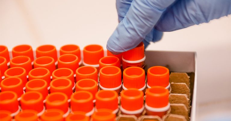 Foto: Cecília Bastos/USP Imagens