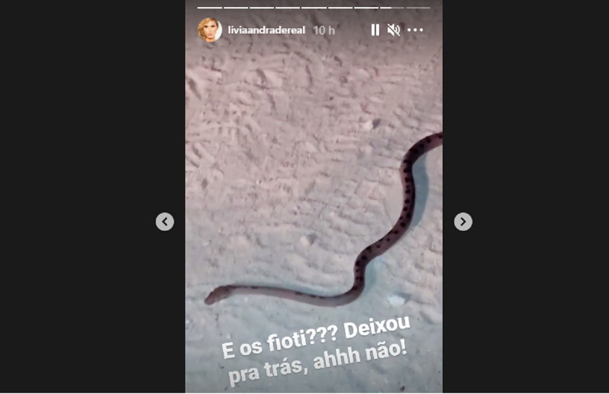 Livia Andrade - Via Instagram