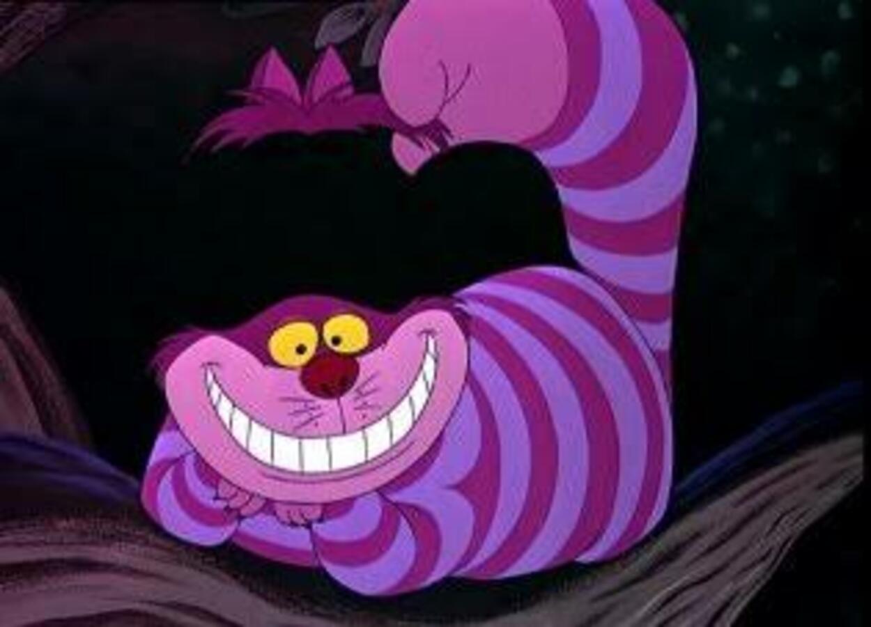 Filme gato de pelo curto inglês