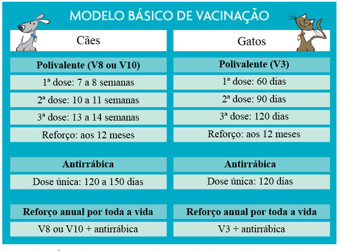 protocolo de vacina pets