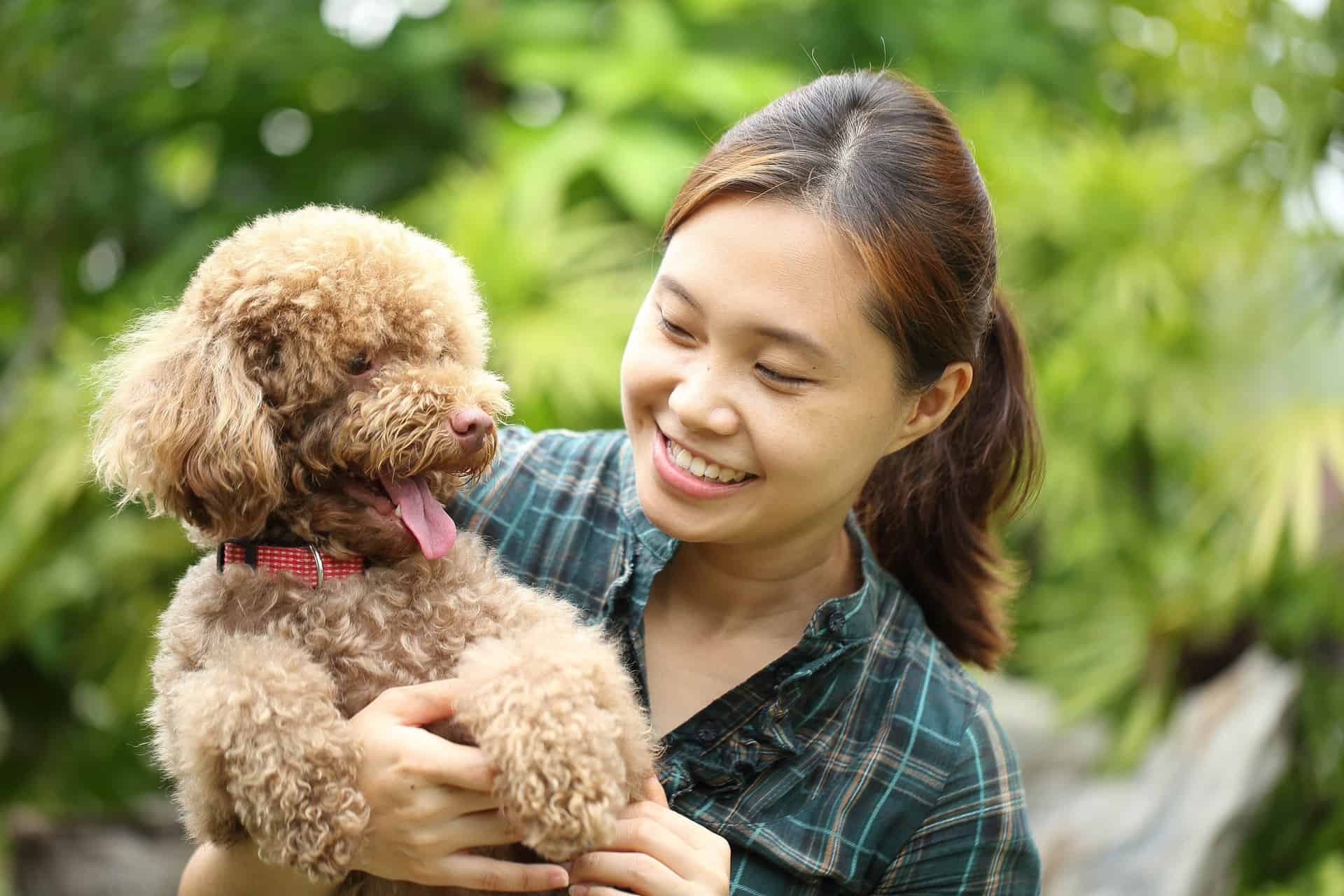 Raça de cachorro amoroso: confira 5 pets que adoram dar e receber carinho