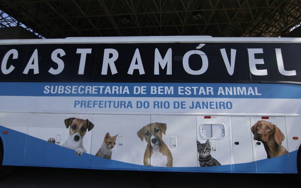 Castração proteção animal