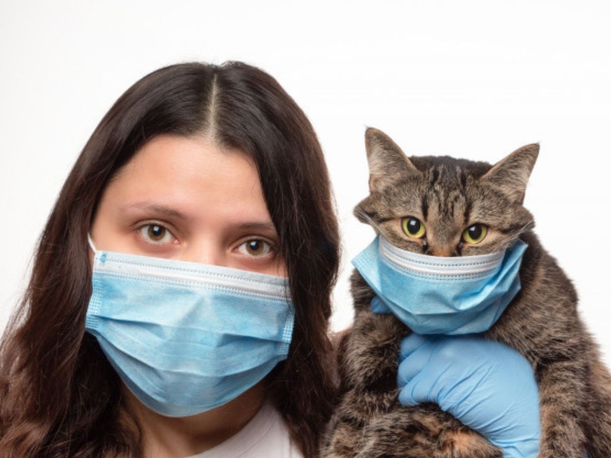 gata e tutora de mascara