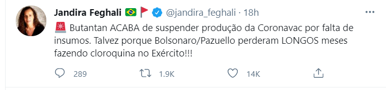 Deputada volta a criticar Bolsonaro após o Butantan suspender produção da vacina CoronaVac