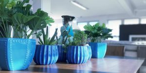 Como escolher vasos decorativos para sala: confira dicas que vão te informar e inspirar