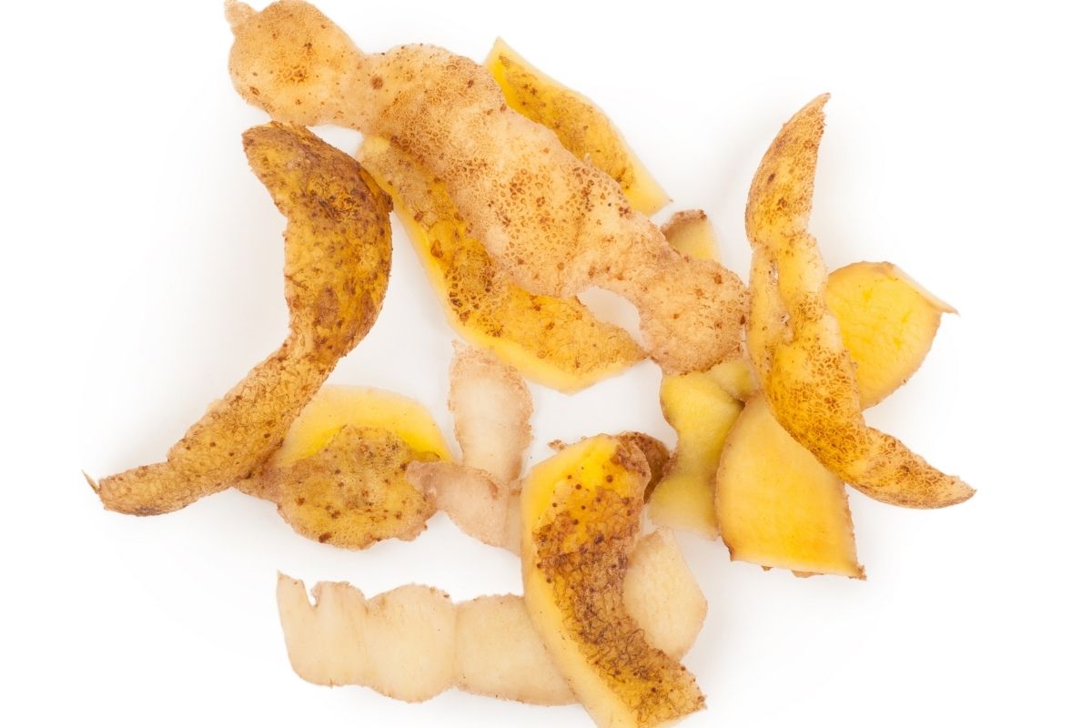 reaproveitar casca de alimentos