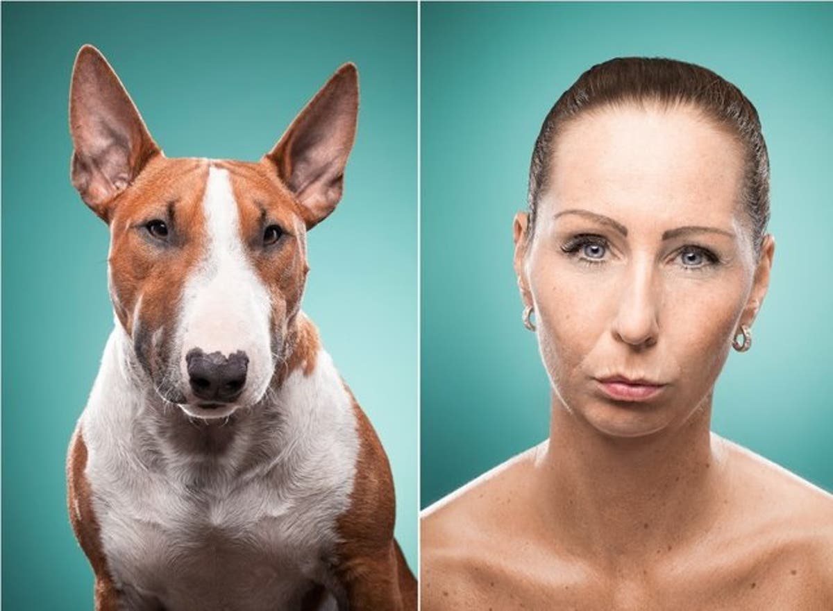 Cachorro se parece com dono? Confira se é verdade ou mentira: a resposta vai te surpreender