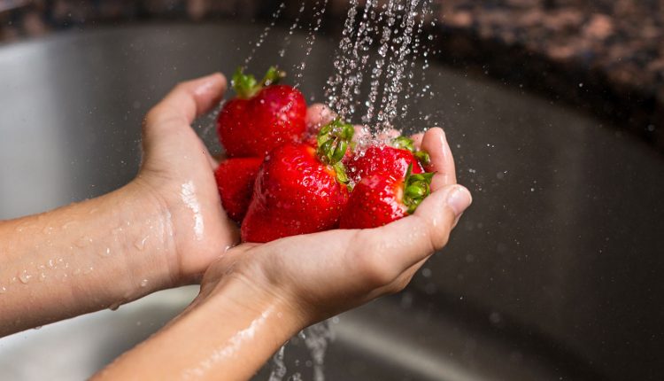 Como higienizar e secar frutas: confira 5 dicas para te ajudar a fazer do jeito certo