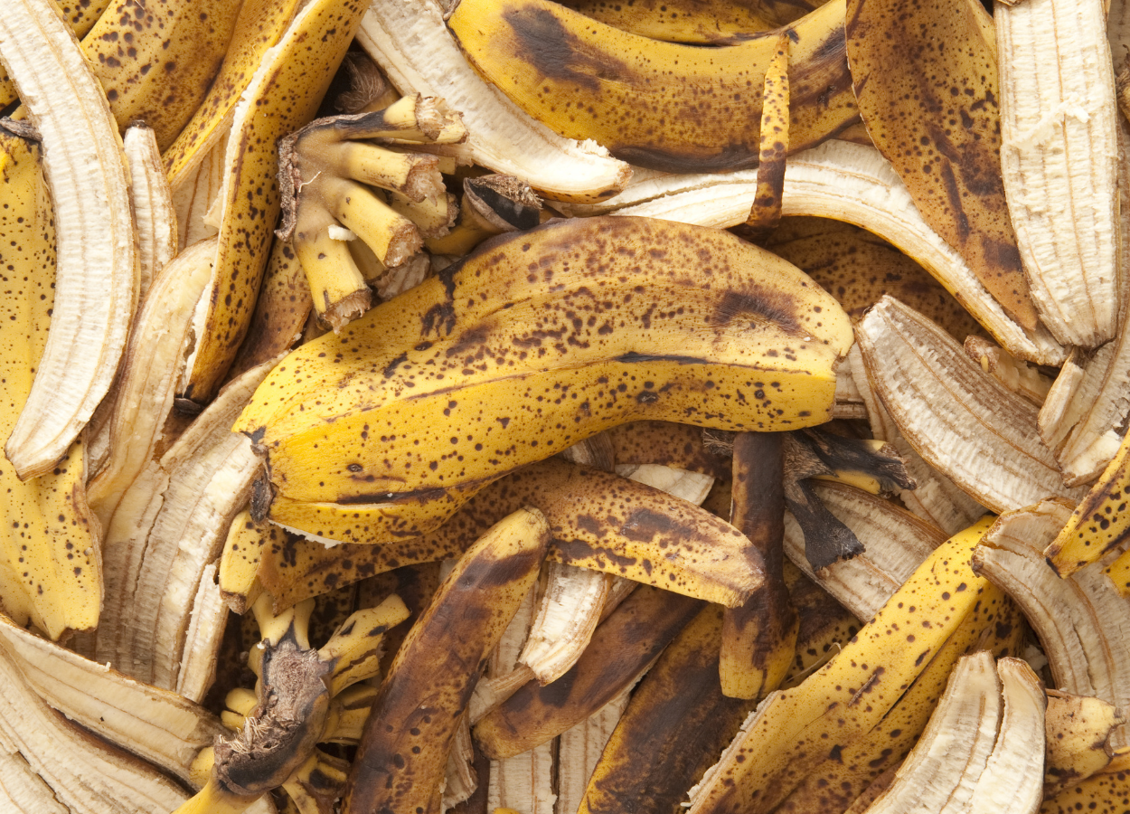 adubo de casca de ovos e frutas