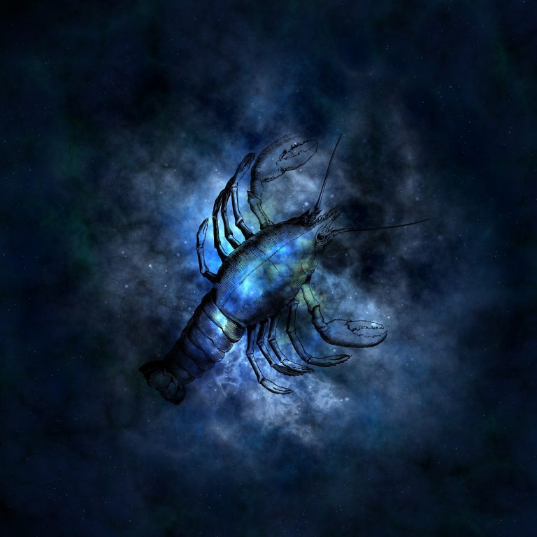 Horóscopo do Dia: Imperdível, Horóscopo de Áries e suas combinações / Reprodução: Pixabay