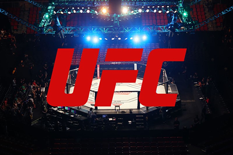 Onde assistir UFC ao vivo online luta brasileiros neste sábado - Divulgação