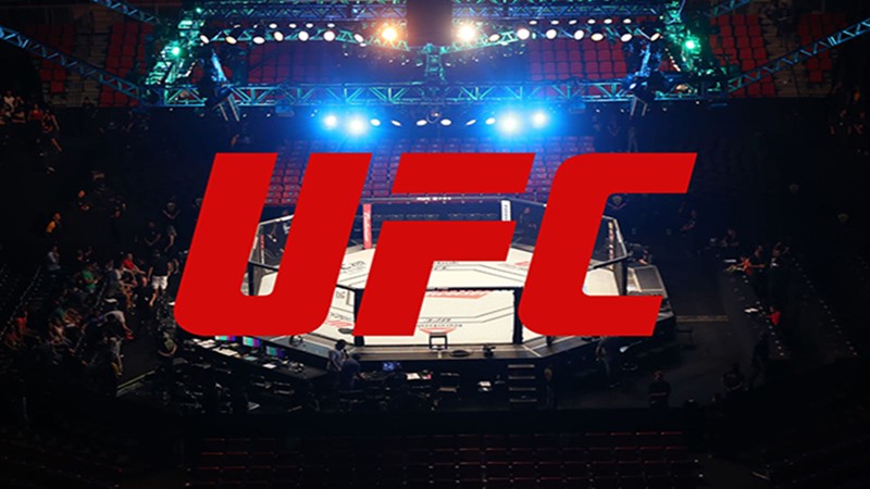 Onde assistir o UFC ao vivo online neste sábado - Divulgação