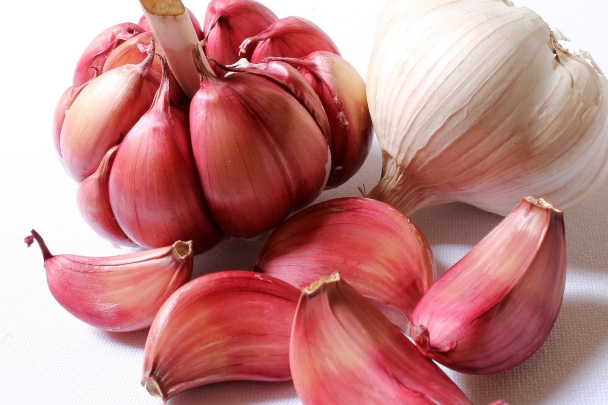 Descascar alho nunca mais vai ser um trabalho! Veja como fazer isso em casa sem dificuldade Reprodução Canva