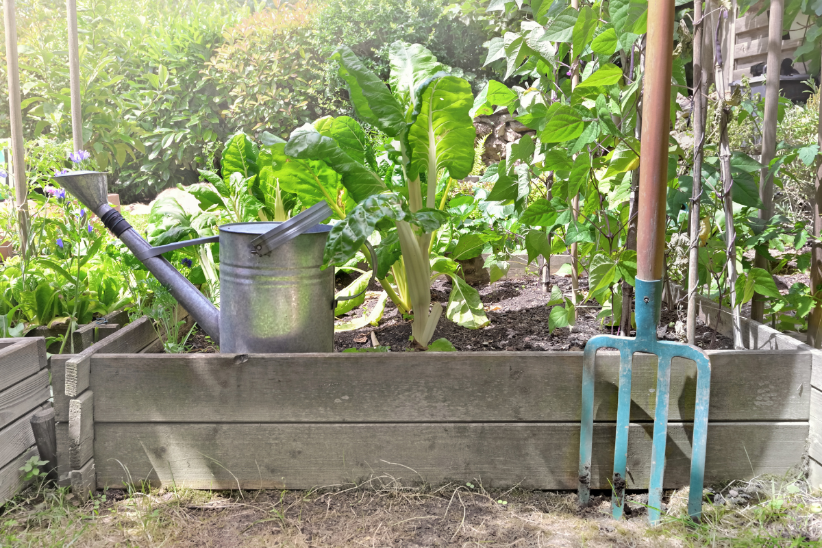 Como fazer mini horta em casa: tenha verduras o ano inteiro com horta em casa