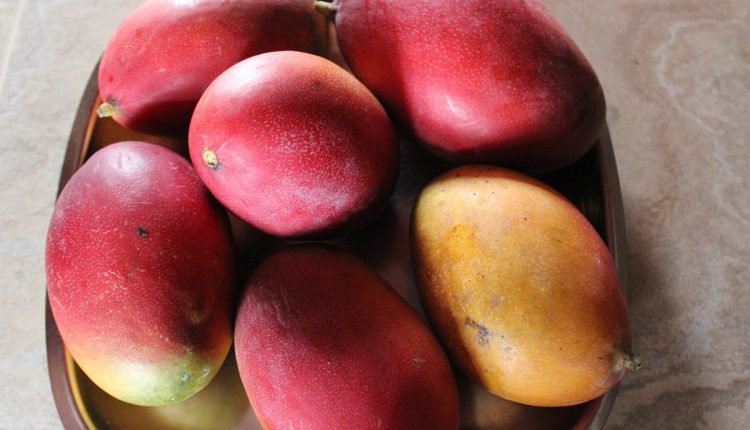 Conheça 5 benefícios da manga rosa e aprenda como cultivar essa fruta no quintal de casa - Fonte: Pixabay