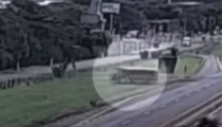 Ônibus sai da pista em Sertãozinho (SP), estudante salva colegas e vídeo viraliza na web. Foto: Reprodução