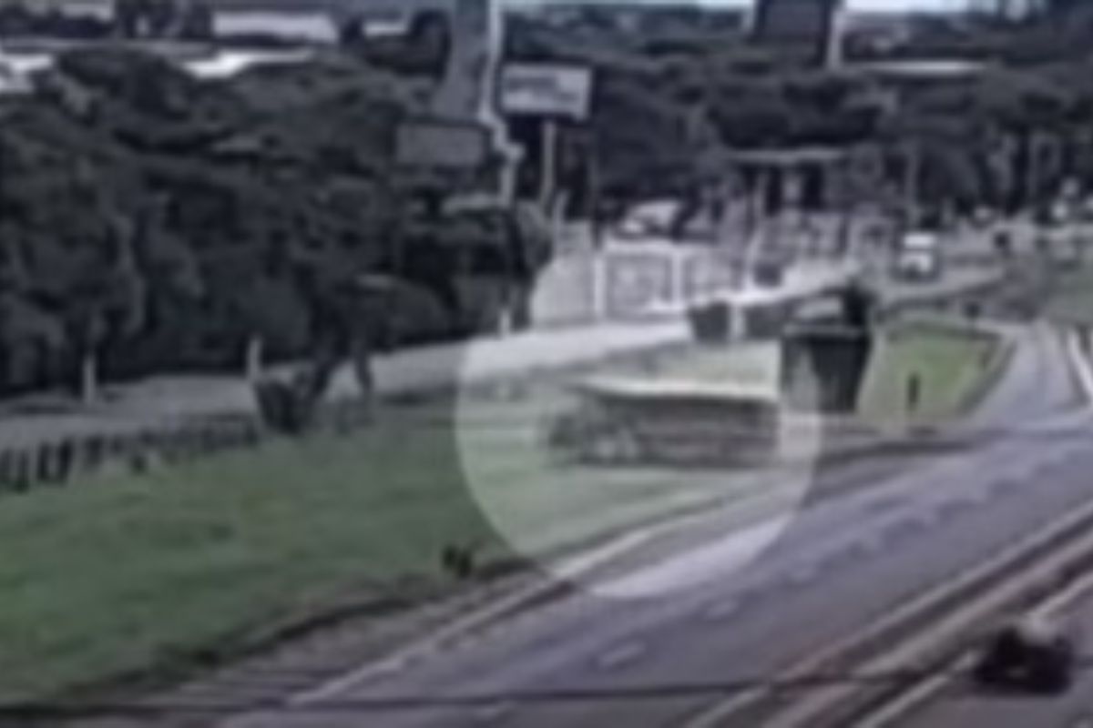 Ônibus sai da pista em Sertãozinho (SP), estudante salva colegas e vídeo viraliza na web. Foto: Reprodução