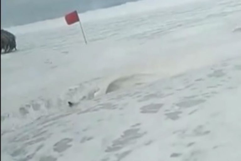 Arraial do Cabo: ressaca invade ruas e vídeo viraliza nas redes sociais. Foto: Reprodução Instagram